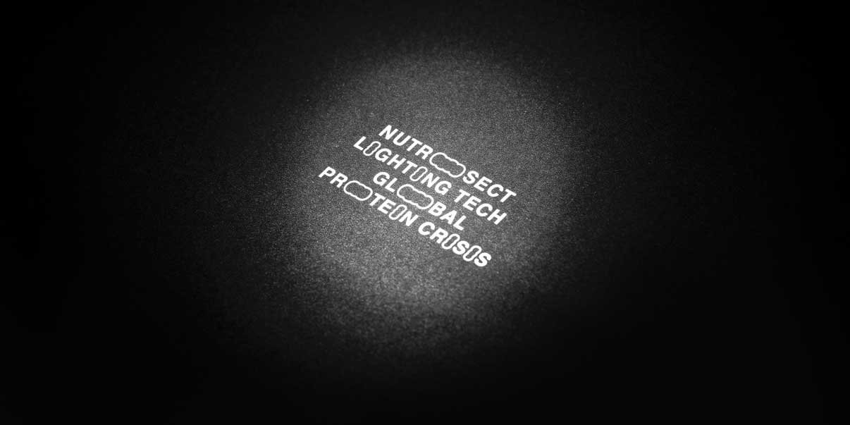 救世主はアメリカミズアブ。タンパク質危機にある世界を「昆虫タンパク質」で乗り越える | くらしビジョナリーコラボスタートアップと、くらしでつながるパナソニックのオープンイノベーション活動