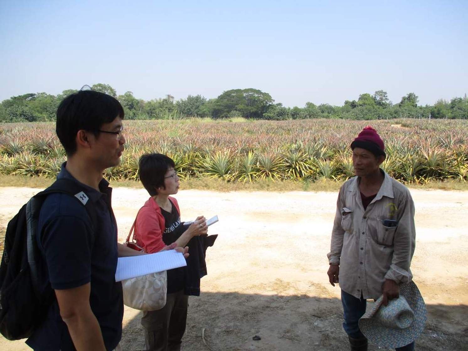 タイのパイナップル畑の前で農家の方にヒアリングしている様子。左はシラパコーン大学（Silpakorn University）のプラモート准教授（Assoc. Prof. Dr. Pramote Khuwijitjaru）（画像提供：パナソニック株式会社） | Make New Magazine「未来の定番」をつくるために、パナソニックのリアルな姿を伝えるメディア